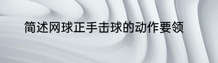 简述网球正手击球的动作要领