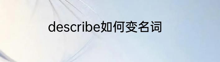 describe如何变名词