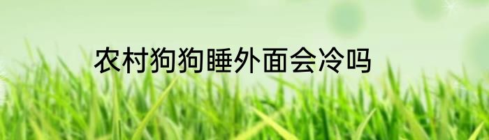 农村狗狗睡外面会冷吗