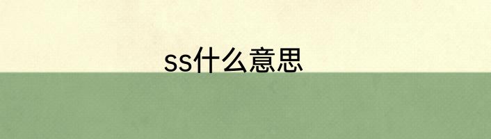 ss什么意思