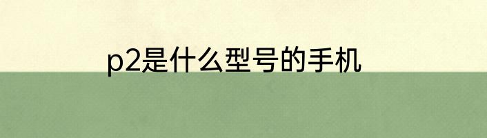 p2是什么型号的手机