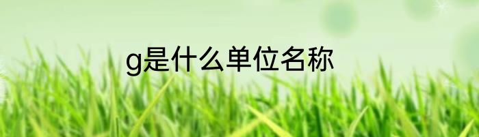 g是什么单位名称