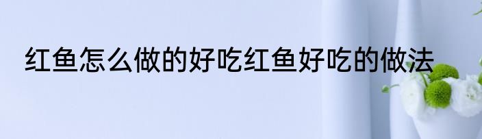 红鱼怎么做的好吃红鱼好吃的做法
