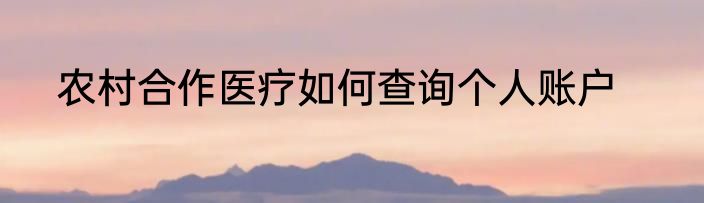 农村合作医疗如何查询个人账户