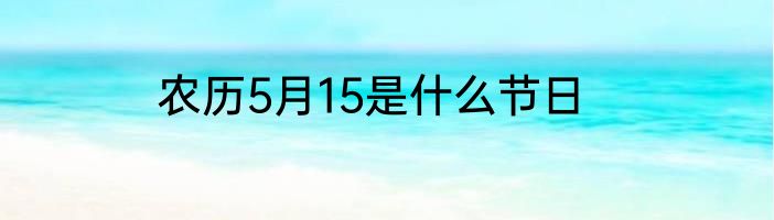 农历5月15是什么节日
