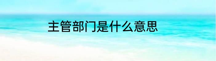 主管部门是什么意思