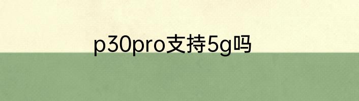 p30pro支持5g吗