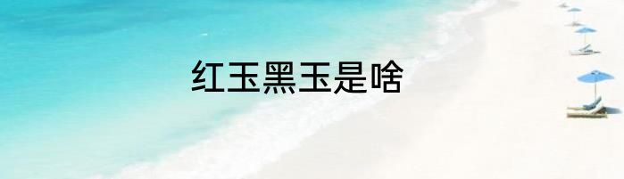 红玉黑玉是啥