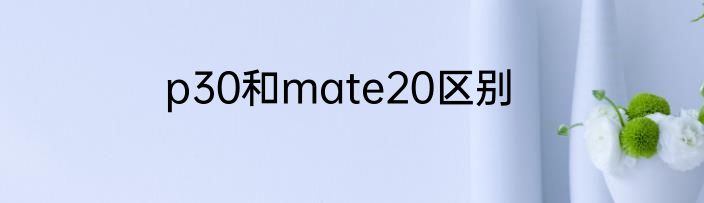 p30和mate20区别