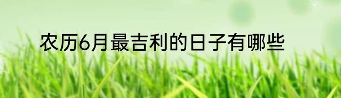 农历6月最吉利的日子有哪些