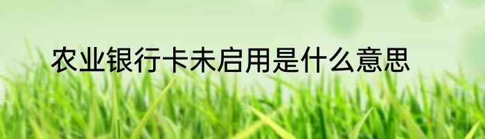 农业银行卡未启用是什么意思