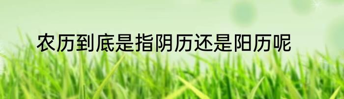 农历到底是指阴历还是阳历呢