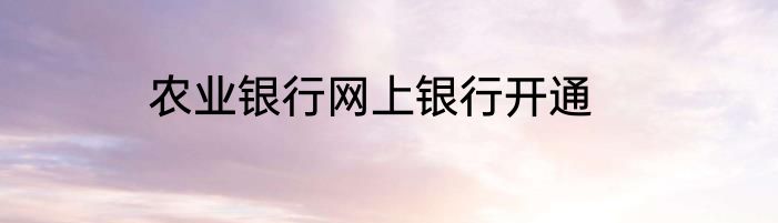 农业银行网上银行开通