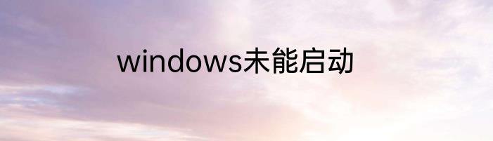 windows未能启动