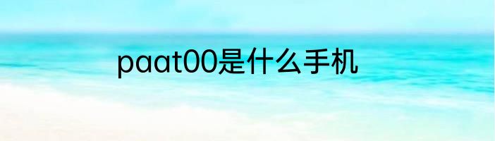 paat00是什么手机