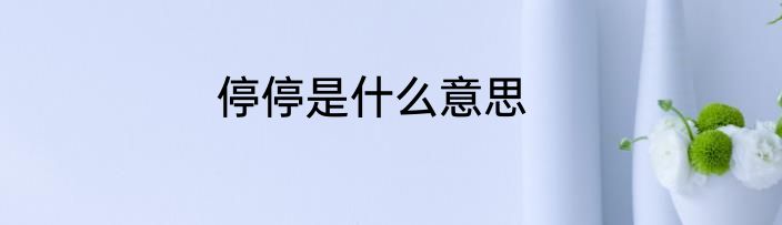 停停是什么意思