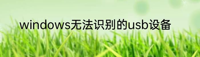 windows无法识别的usb设备