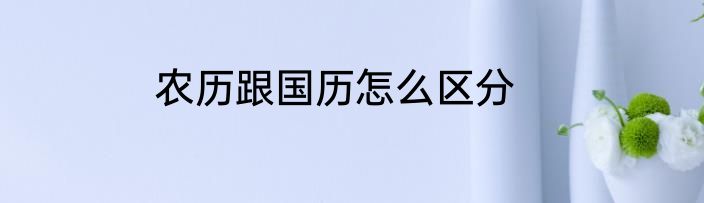 农历跟国历怎么区分