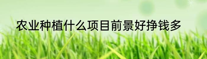 农业种植什么项目前景好挣钱多