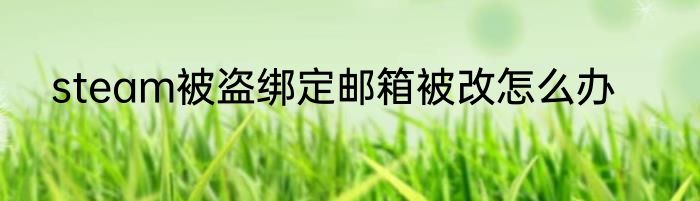 steam被盗绑定邮箱被改怎么办