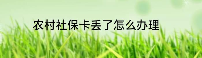 农村社保卡丢了怎么办理