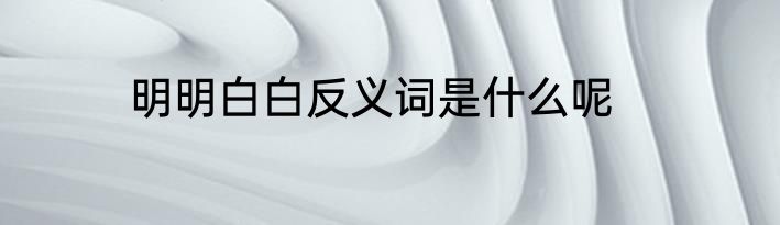 明明白白反义词是什么呢