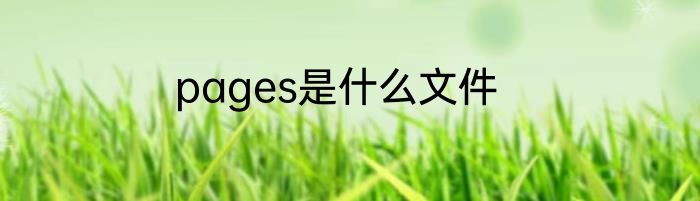 pages是什么文件