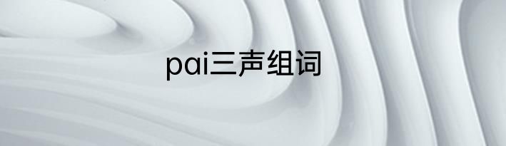 pai三声组词