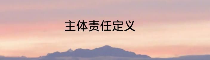 主体责任定义