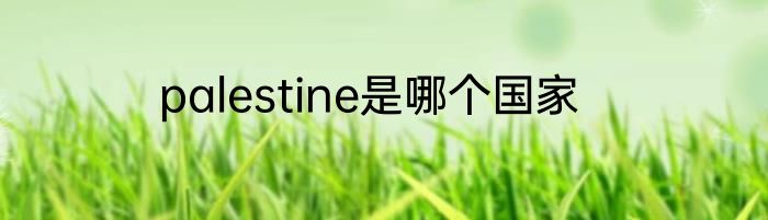 palestine是哪个国家