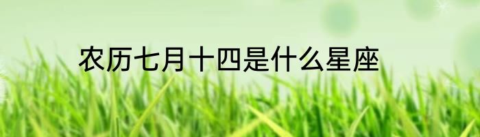 农历七月十四是什么星座