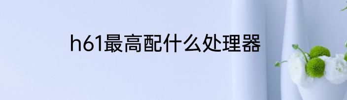 h61最高配什么处理器