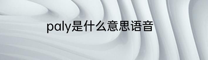 paly是什么意思语音