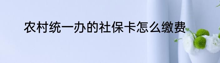 农村统一办的社保卡怎么缴费
