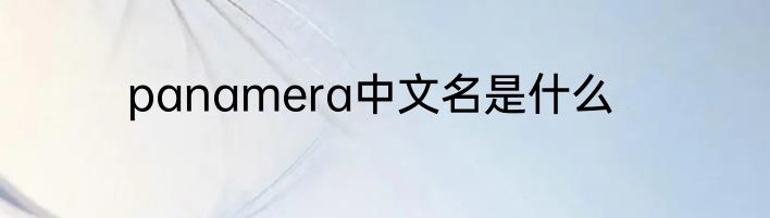 panamera中文名是什么