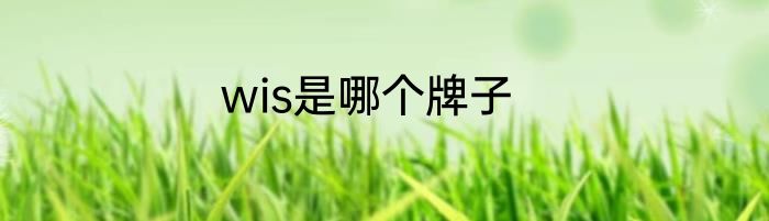 wis是哪个牌子