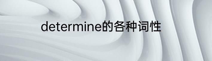 determine的各种词性