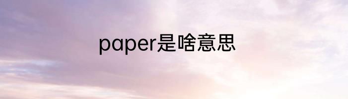 paper是啥意思