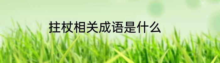 拄杖相关成语是什么
