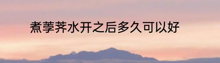 煮荸荠水开之后多久可以好
