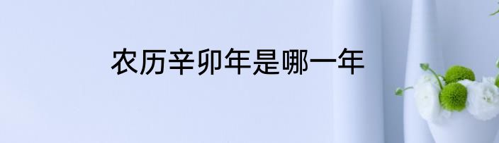 农历辛卯年是哪一年