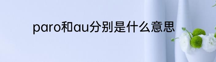 paro和au分别是什么意思