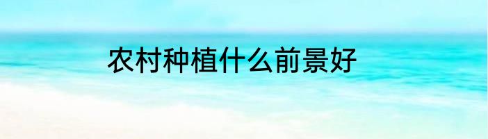 农村种植什么前景好