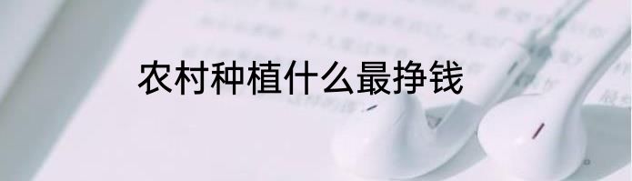 农村种植什么最挣钱