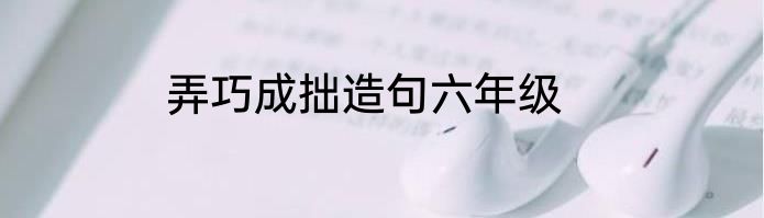 弄巧成拙造句六年级