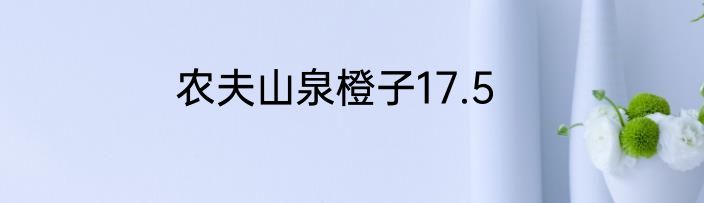 农夫山泉橙子17.5
