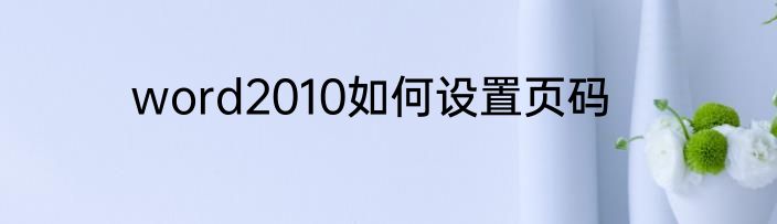 word2010如何设置页码