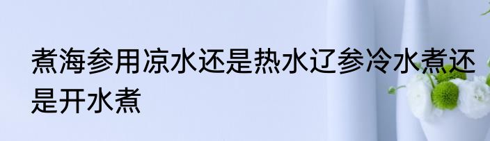 煮海参用凉水还是热水辽参冷水煮还是开水煮
