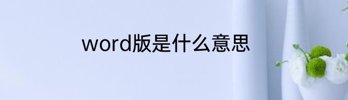 word版是什么意思