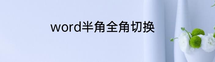 word半角全角切换